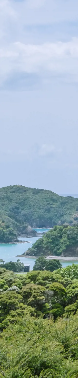 Tauchen auf Poor Knights Islands
